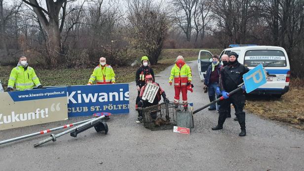 Verkehrstafeln, Einkaufswägen: Was die Wasserrettung in der Traisen fand