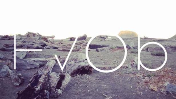 Trockene Baumstämme liegen am Strand unter einem hellen Himmel.