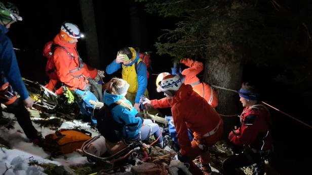 ++ HANDOUT ++ OBERÖSTERREICH: DREI UNGARN VON ZWILLINGSKOGEL GERETTET Drei Ungarn von Zwillingskogel in OÖ gerettet