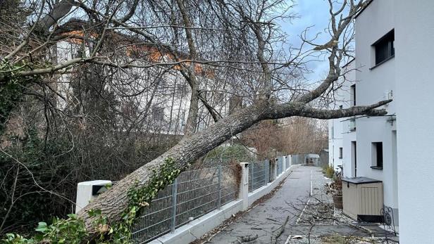 Sturm bis 100 km/h: Am Sonntag wird es im Osten ungemütlich