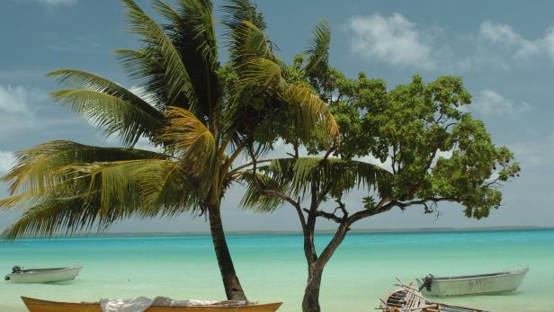 Palm trees with boats Kiribati zwei Jahre coronafrei: Erster Flieger brachte 36 Infizierte