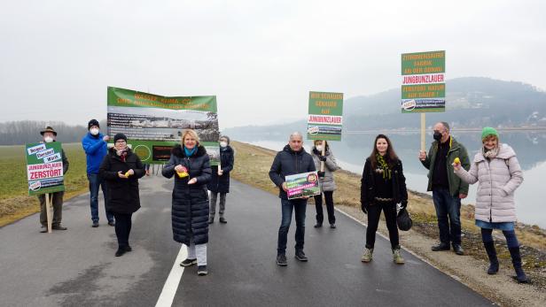 Grünpolitiker, angeführt von Landeschefin Helga Krismer (M.) und Mitglieder der Bürgerinitiative „Ritter von der Au“ protestierten