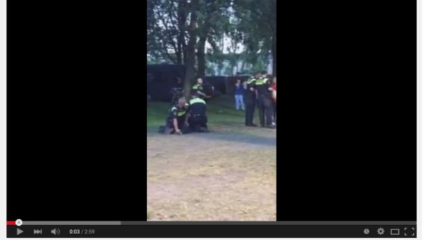 Polizisten nehmen eine Person in einem Park fest.