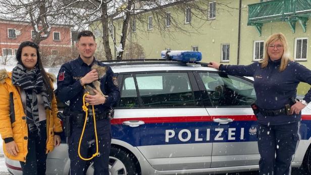 Steiermark: Polizisten setzen sich für bedürftige Tiere ein
