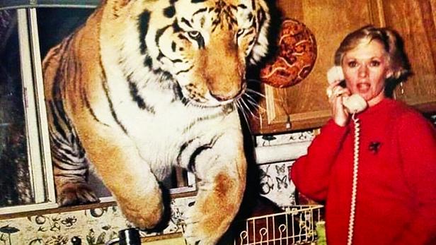 Tippi Hedren Tiger