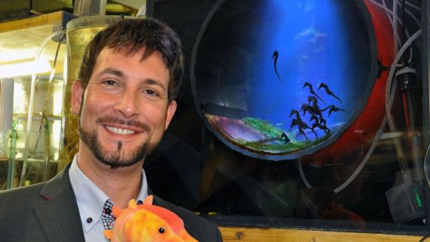 Ein Mann lächelt vor einem Aquarium mit Seepferdchen.