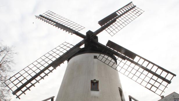 Die Windmühle von Podersdorf ist einzigartig im Burgenland.