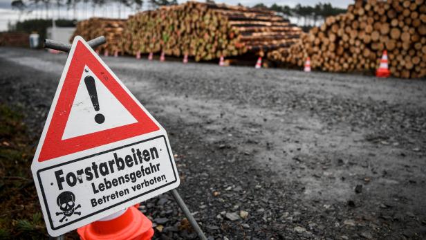 39-Jähriger bei Forstarbeiten in Leoben mit Bagger abgestürzt und getötet
