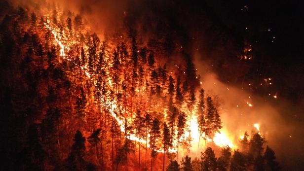 Ein Waldbrand breitet sich in der Nacht über einen bewaldeten Hügel aus.
