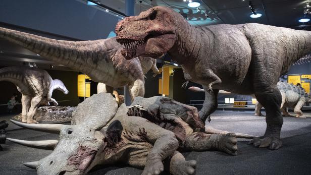 Dinosaurier litt womöglich an Husten, Fieber und Atemnot