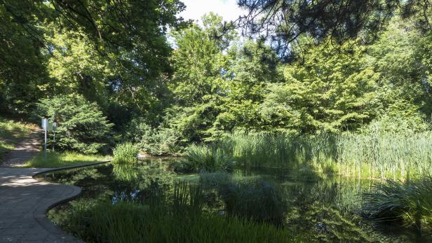 Nach Anrainerbefragung wird Denglerpark in Floridsdorf aufgepeppt