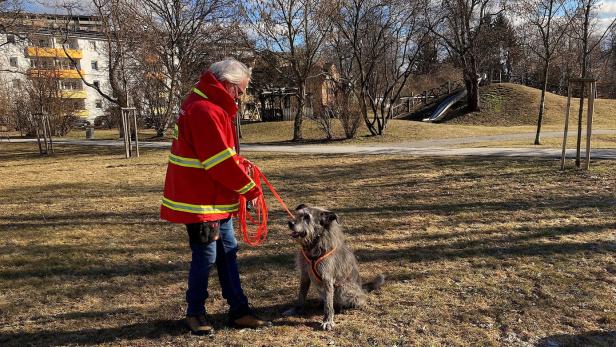 Knochenspürhund schlug bei früherem NS-Lager an