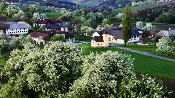 Pflege der Mostobstkultur bleibt auch in der neuen EU-Förderperiode im Fokus