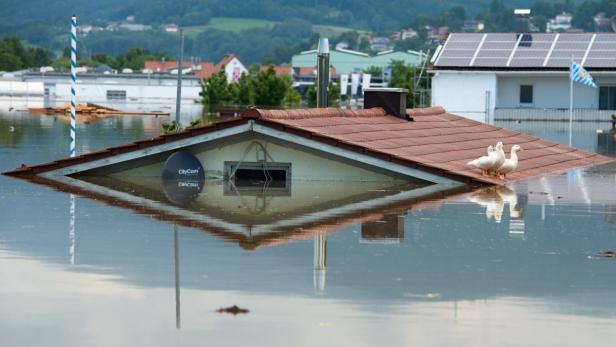 Ein überflutetes Haus mit Enten auf dem Dach.