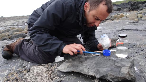 University of Edinburgh paleontologist Steve Brusatte works to conserve part of the fossil of a newly identified Jurassic Period flying reptile, at Scotland's Isle of Skye
