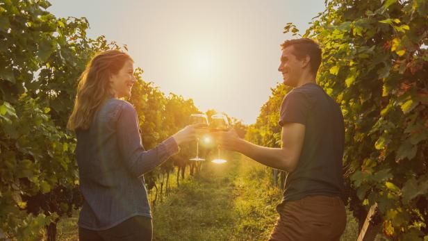 Wein aus 2021 ist "ein österreichischer Traumjahrgang"