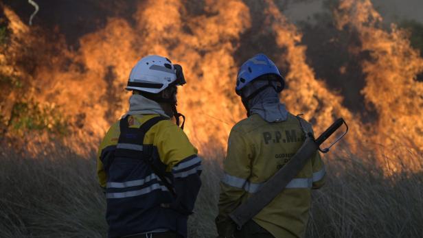Extreme Waldbrände werden in Zukunft mehr werden