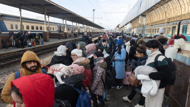 Bisher 500 Angebote zur Aufnahme von Flüchtlingen aus der Ukraine
