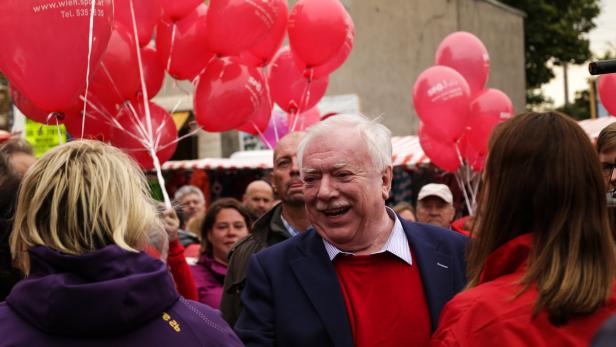 Entscheidung in Wien: Bürgermeister Michael Häupl hat zwei intensive Wahlkampfwochen vor sich