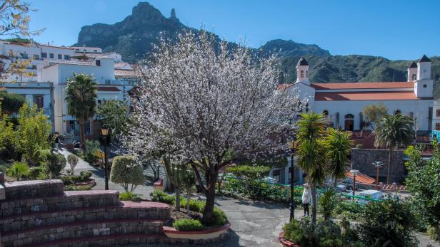 Gran Canaria, Spanien: Was einem in Tejeda blüht