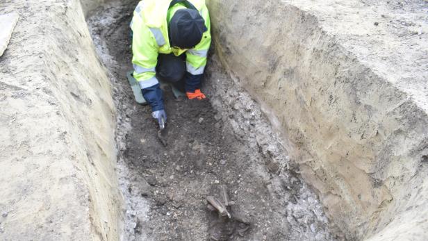 Stockerau: Grabstätten aus der Völkerwanderungszeit entdeckt