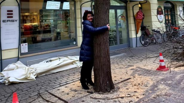 Die Bäume sind weg: Protest der St. Pöltner Kaufleute blieb ungehört