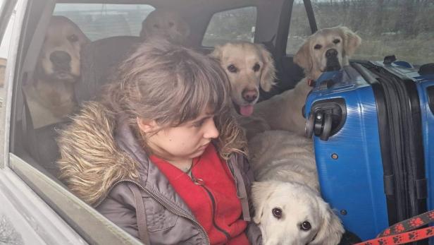 Tierretter nach Grenz-Einsatz mit Auto voller Hunde