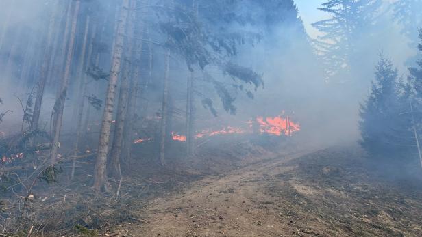 120 Feuerwehrleute verhinderten Waldbrandkatastrophe im Pielachtal