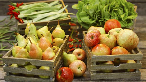 Holzkisten gefüllt mit Äpfeln, Birnen, grünen Bohnen, Chilischoten und Salat auf einem Holztisch.