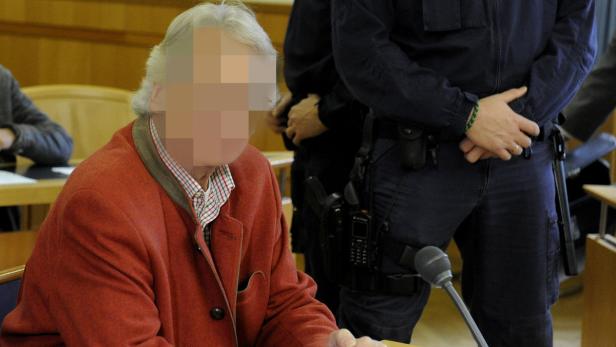 Der Angeklagte zu Prozessbeginn am Straflandesgericht Wien.