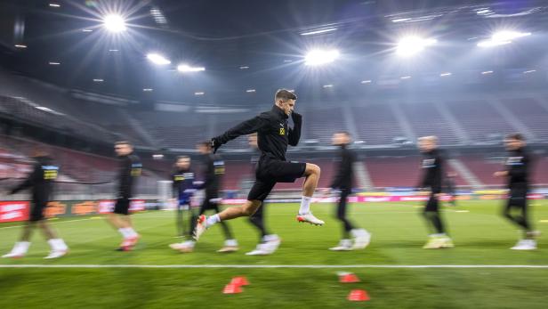 FUSSBALL: WM-QUALIFIKATION: TRAINING ÖSTERREICH: