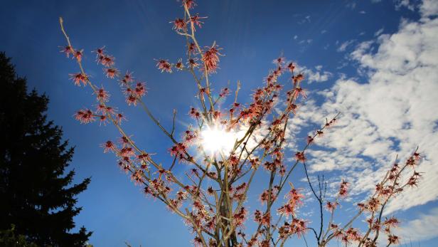 Ab Sonntag zeigt sich die Sonne mehr, dafür sind die Nächte kalt