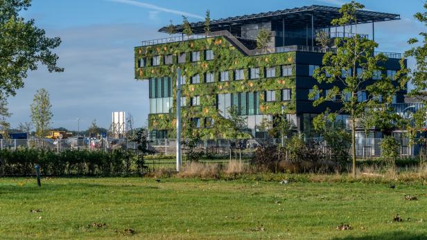 Noch ein Grund für Amsterdam: Die Floriade 2022