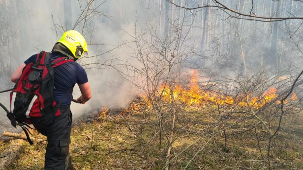 Bezirk Neunkirchen: 110 Feuerwehrleute kämpfen gegen Waldbrand