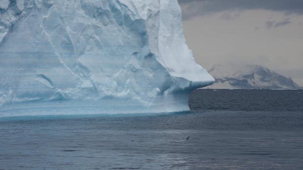 In Teilen der Antarktis ist derzeit um bis zu 40 Grad wärmer als normalerweise um diese Jahreszeit.