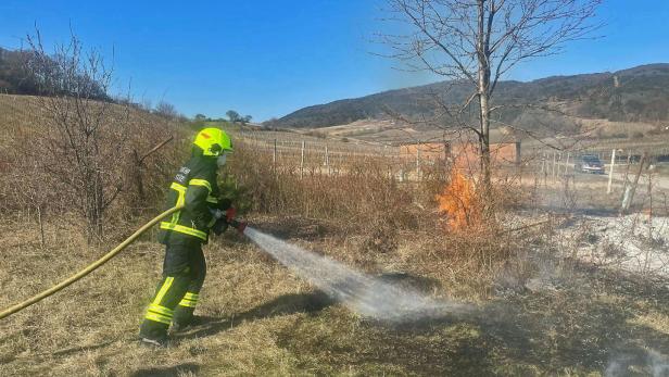 Trockenheit sorgt für Waldbrände in Niederösterreich