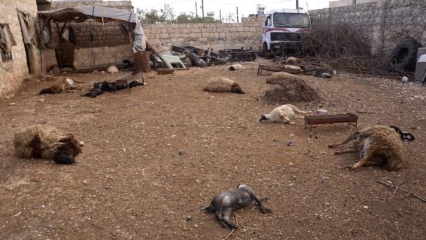 Animal carcasses lie on the ground, killed by what residents said was a chemical weapon attack on Tuesday, in Khan al-Assal area near the northern city of Aleppo, March 23, 2013. The United Nations said on Thursday it would investigate Syria&#039;s allegations that rebel forces used chemical weapons in an attack near Aleppo, but Western countries sought a probe of all claims concerning the use of such banned arms. The deaths of 26 people in that rocket attack became the focus of competing claims on Wednesday from Syrian President Bashar al-Assad&#039;s supporters and opponents, who accuse each other of firing a missile laden with chemicals. REUTERS/George Ourfalian (SYRIA - Tags: POLITICS CONFLICT TPX IMAGES OF THE DAY ANIMALS)
