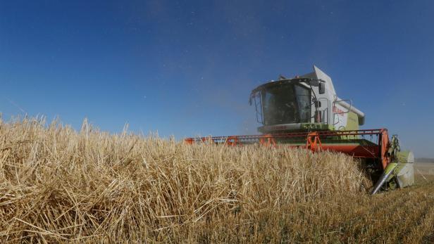 Ukraine könnte wegen Krieg die Hälfte ihrer Ernte einbüßen