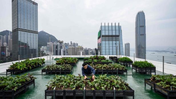 Singapur öffnet nach zwei Jahren Grenzen für Geimpfte