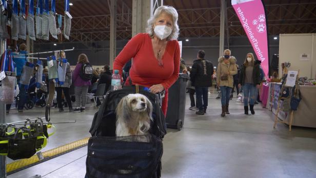 "Die Schicki hat es mit der Bandscheibe": Hundewagen und Urnen auf Haustiermesse