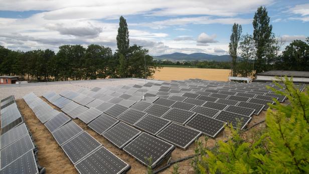 Niederösterreichs Geheimplan für den Solarstrom-Ausbau