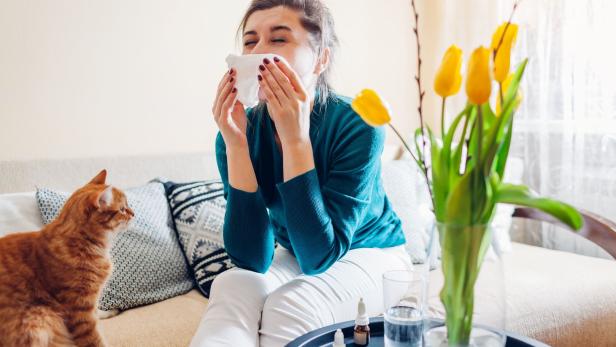 Häufiges niesen, schnupfende Nase, tränende Augen aber auch Schlafstörungen können Allergie-Symptome sein