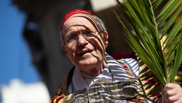 Kardinal Schönborn bei der Palmweihe am letzten Sonntag