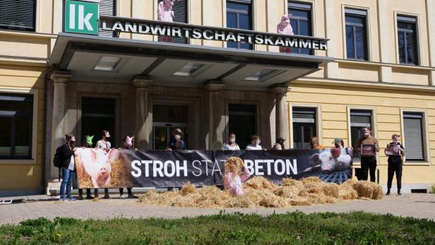 Tierschützer protestieren in Landwirtschaftskammer Kärnten