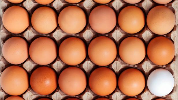 Brown white fresh chicken eggs in the paperboard container. Top view