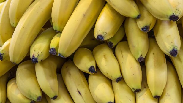 Ecuador: Polizei fand 2,4 Tonnen Kokain in Bananenlieferung
