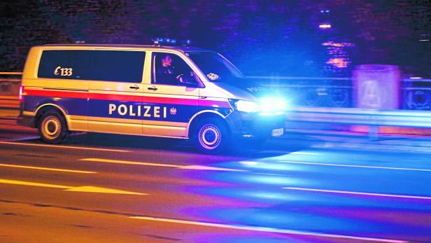 Vodka-Dieb forderte Polizisten zum Kampf auf