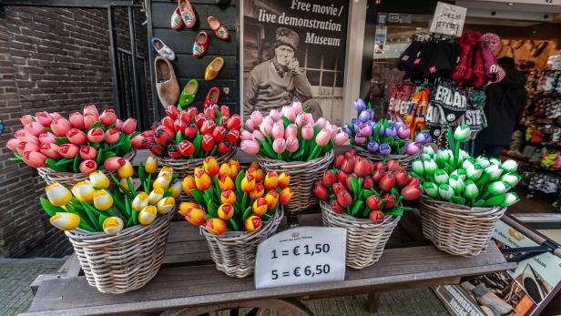Floriade in Holland: Tulpen müssen nicht aus Holz sein
