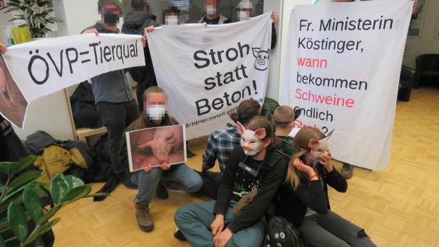 VGT bei ÖVP: Tierschützer besetzten Kärntner Parteibüro