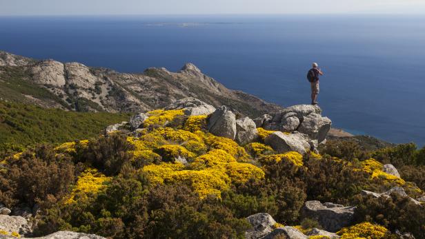 Warum man im Frühsommer auf der Insel Elba wandern sollte